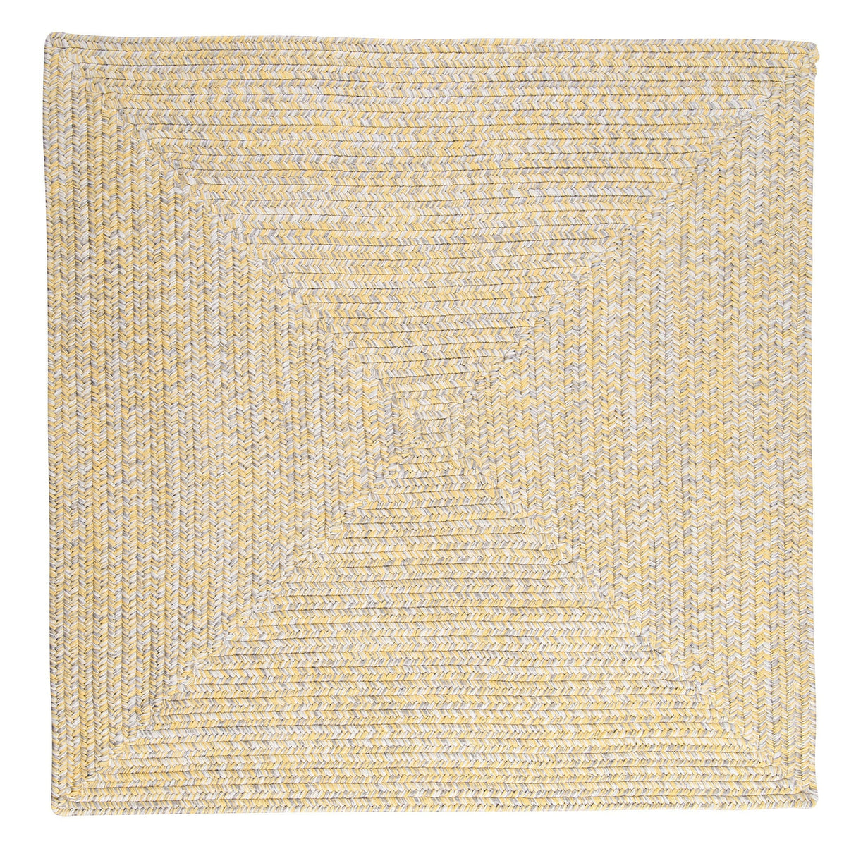 Ocean's Edge Braided Indoor/ Outdoor Area Rug