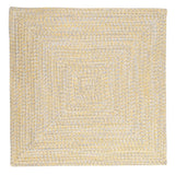 Ocean's Edge Braided Indoor/ Outdoor Area Rug