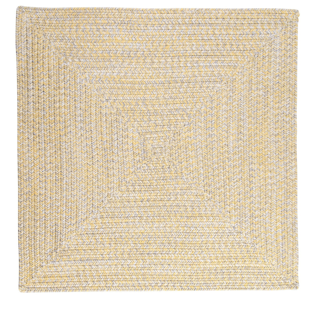 Ocean's Edge Braided Indoor/ Outdoor Area Rug