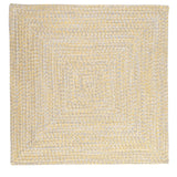 Ocean's Edge Braided Indoor/ Outdoor Area Rug