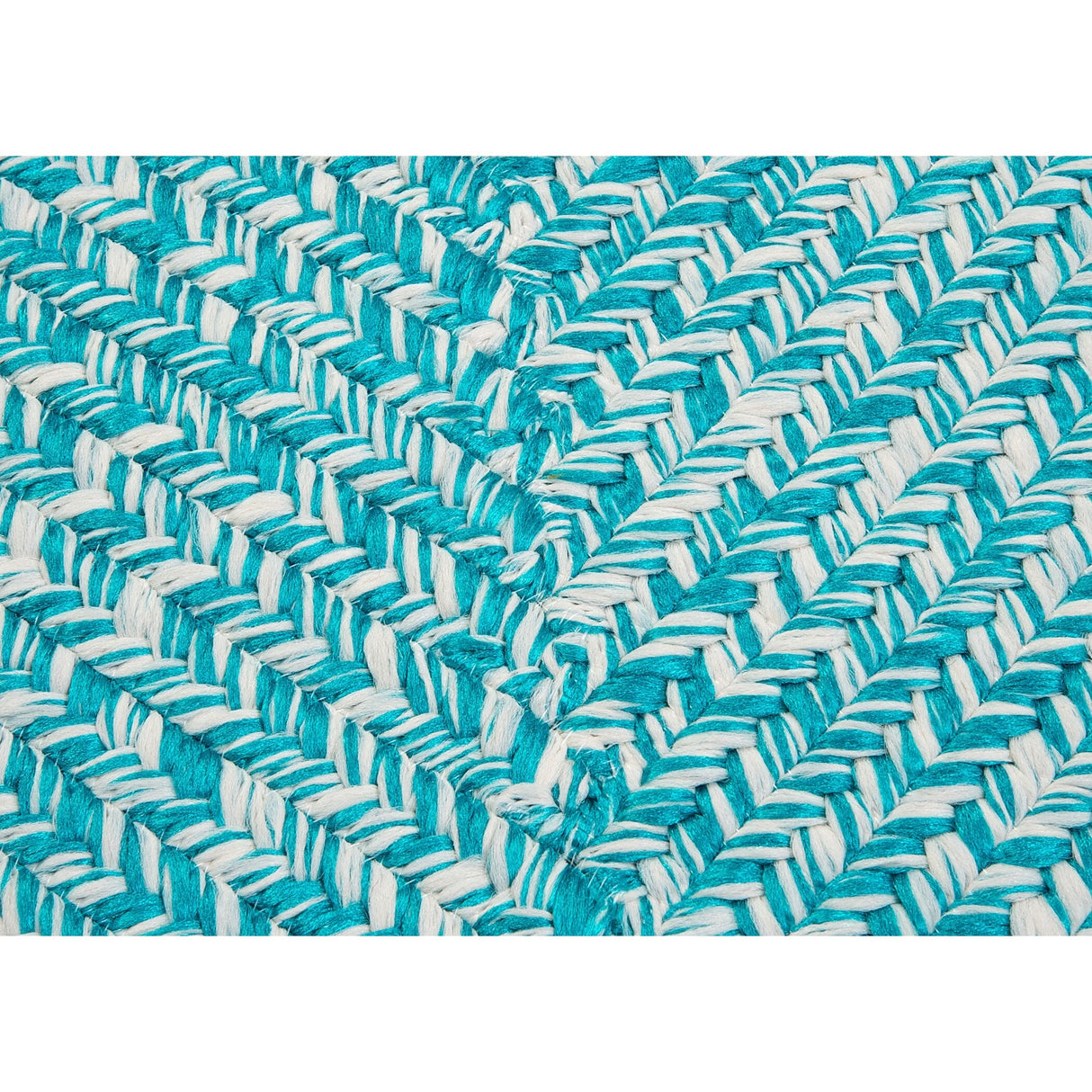 Ocean's Edge Braided Indoor/ Outdoor Area Rug