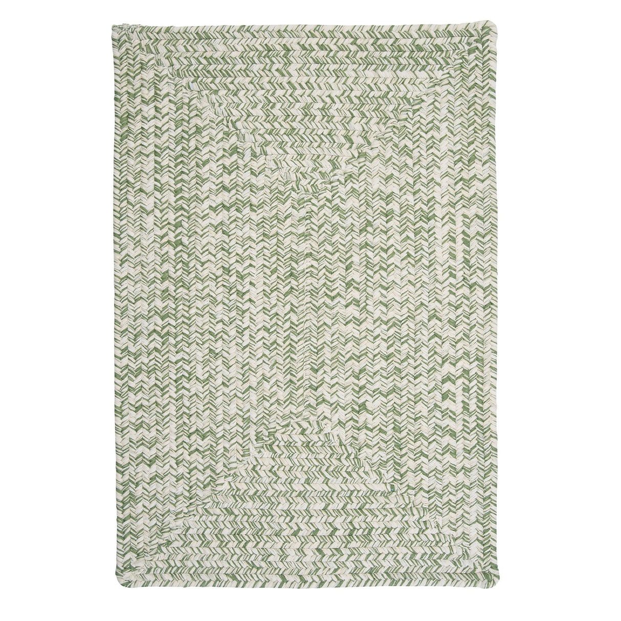 Ocean's Edge Braided Indoor/ Outdoor Area Rug