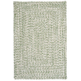 Ocean's Edge Braided Indoor/ Outdoor Area Rug