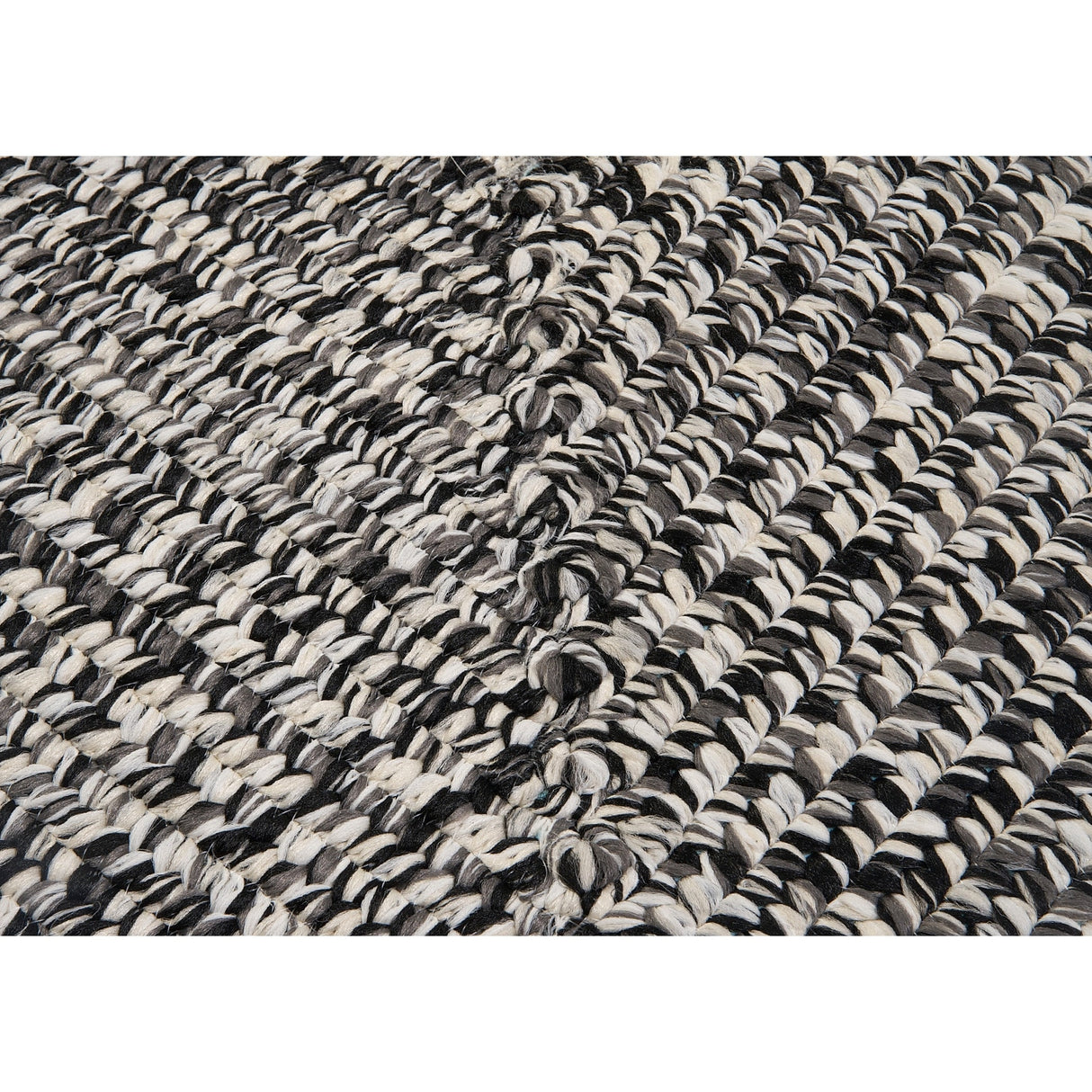 Ocean's Edge Braided Indoor/ Outdoor Area Rug