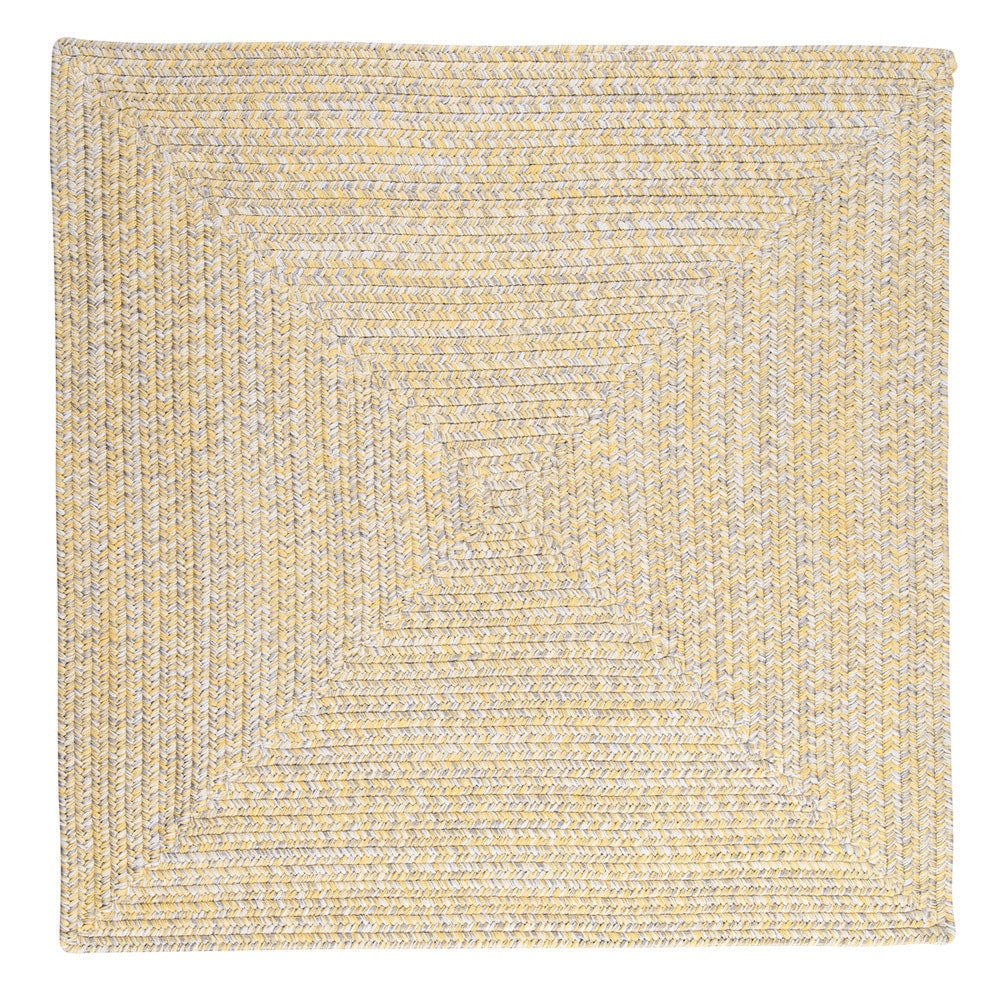 Ocean's Edge Braided Indoor/ Outdoor Area Rug