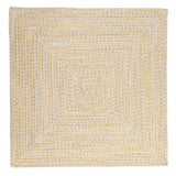 Ocean's Edge Braided Indoor/ Outdoor Area Rug