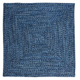 Ocean's Edge Braided Indoor/ Outdoor Area Rug