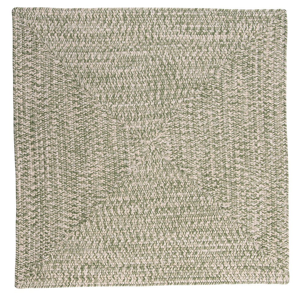 Ocean's Edge Braided Indoor/ Outdoor Area Rug