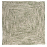 Ocean's Edge Braided Indoor/ Outdoor Area Rug