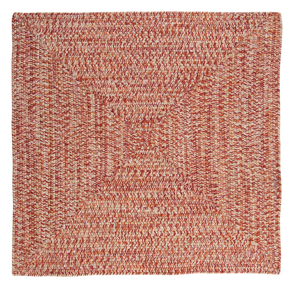 Ocean's Edge Braided Indoor/ Outdoor Area Rug