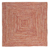 Ocean's Edge Braided Indoor/ Outdoor Area Rug