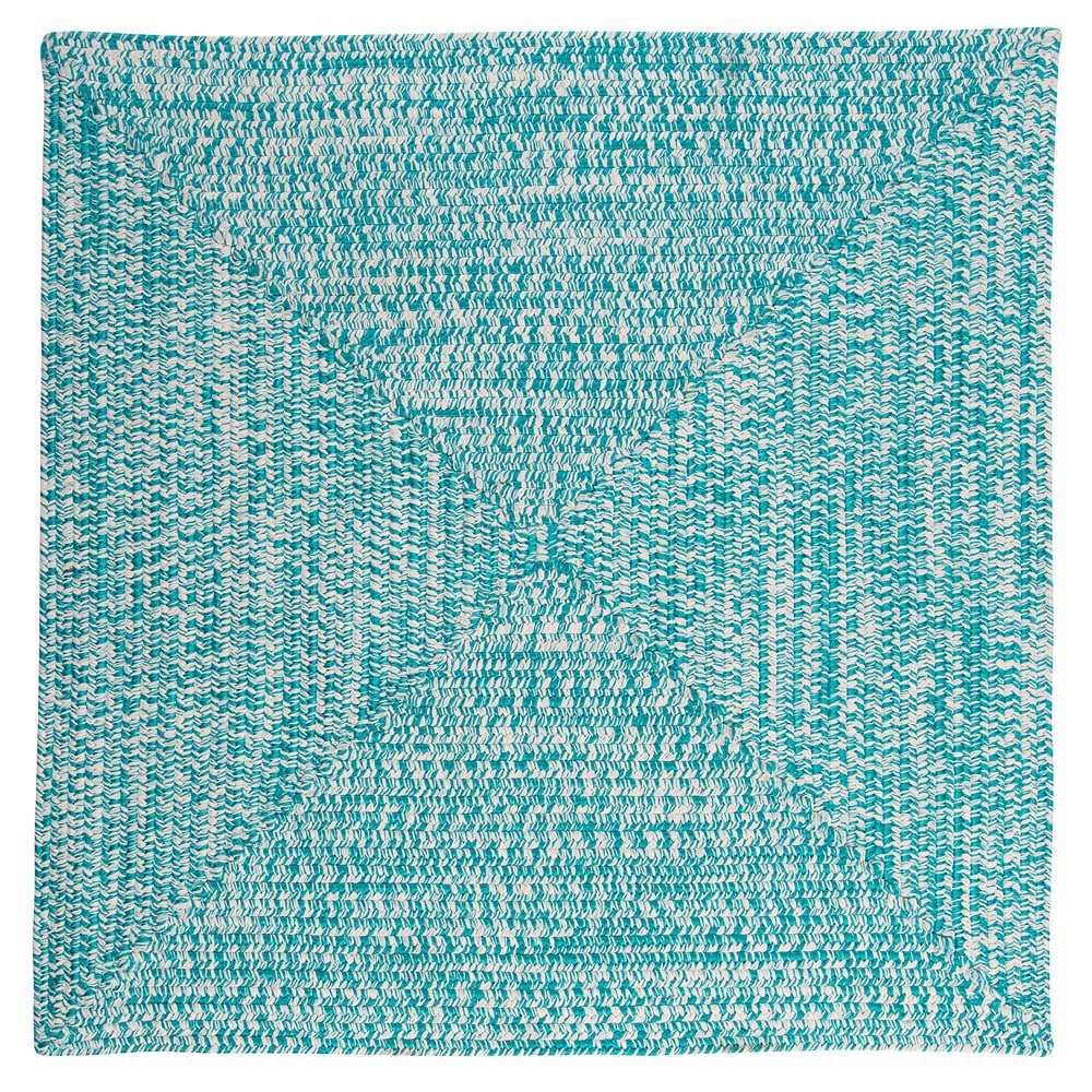 Ocean's Edge Braided Indoor/ Outdoor Area Rug
