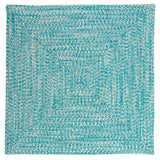 Ocean's Edge Braided Indoor/ Outdoor Area Rug