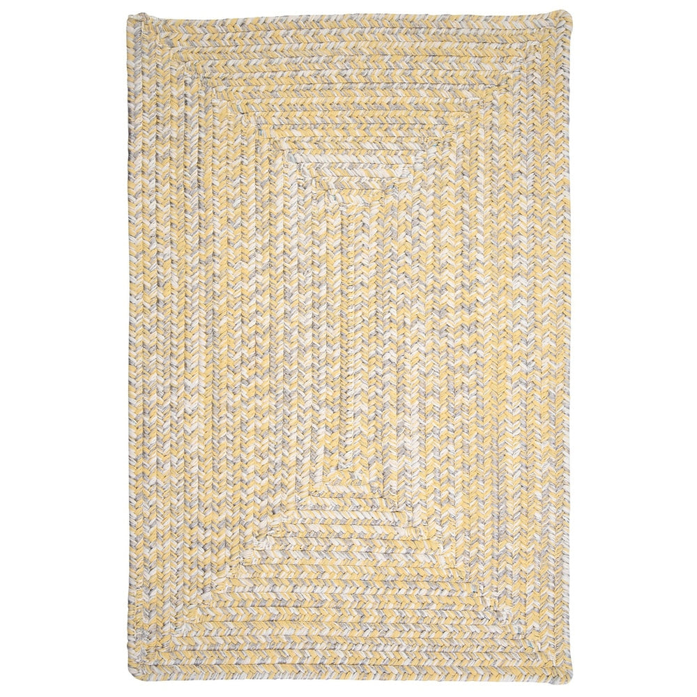 Ocean's Edge Braided Indoor/ Outdoor Area Rug