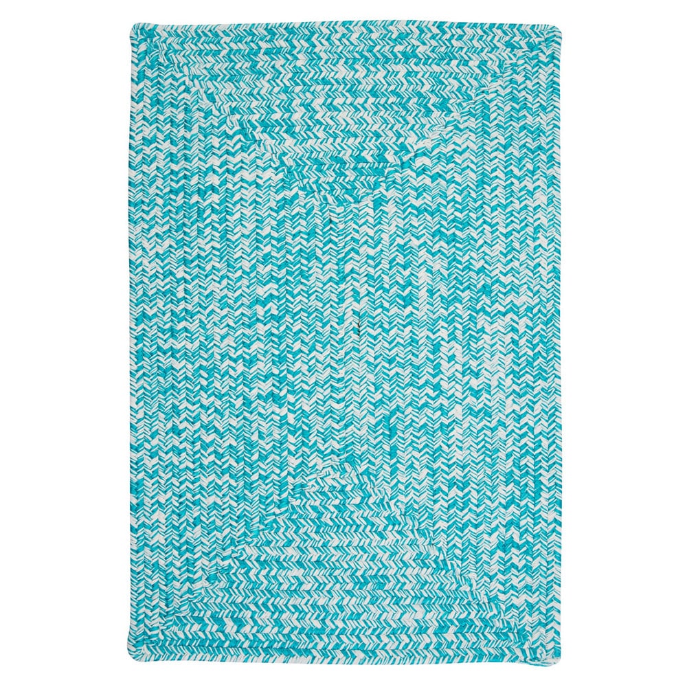 Ocean's Edge Braided Indoor/ Outdoor Area Rug