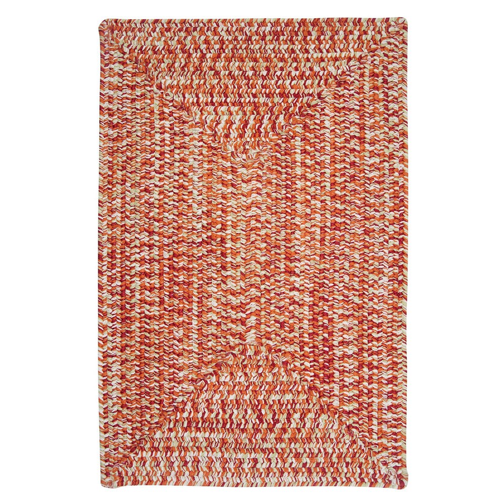 Ocean's Edge Braided Indoor/ Outdoor Area Rug