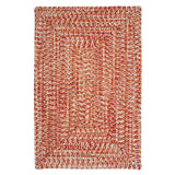 Ocean's Edge Braided Indoor/ Outdoor Area Rug