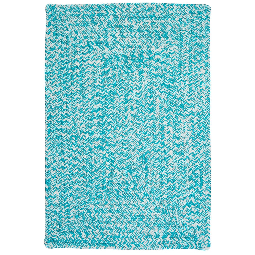 Ocean's Edge Braided Indoor/ Outdoor Area Rug