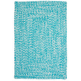 Ocean's Edge Braided Indoor/ Outdoor Area Rug