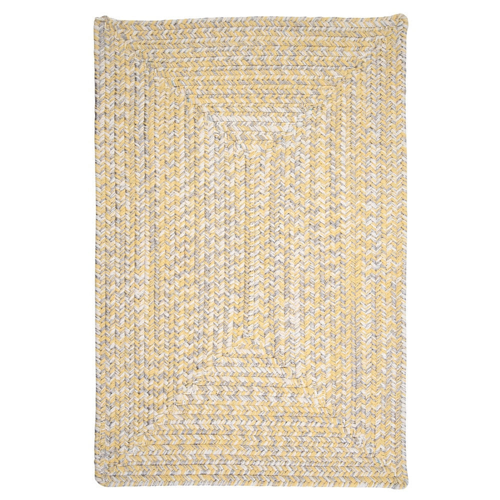 Ocean's Edge Braided Indoor/ Outdoor Area Rug