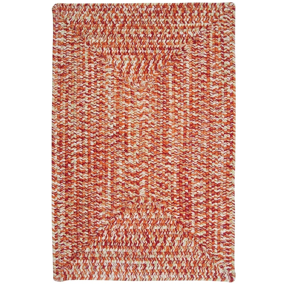 Ocean's Edge Braided Indoor/ Outdoor Area Rug