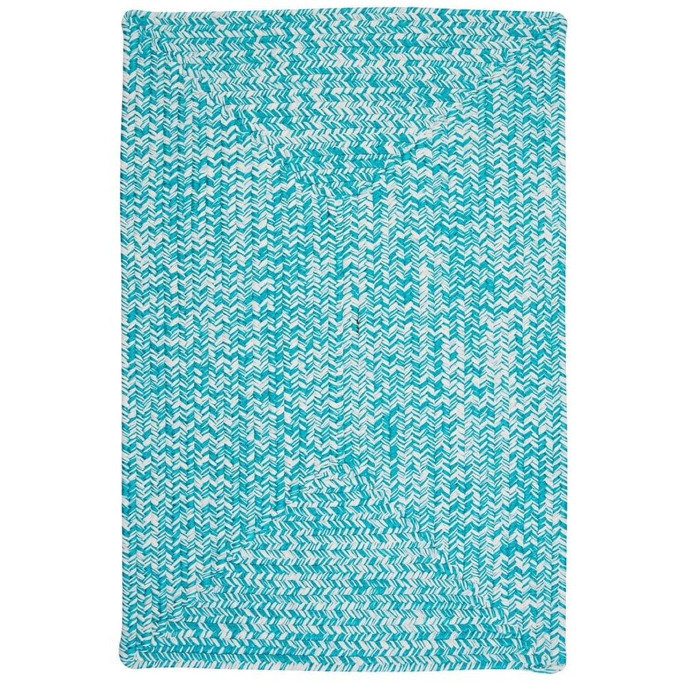Ocean's Edge Braided Indoor/ Outdoor Area Rug