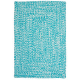 Ocean's Edge Braided Indoor/ Outdoor Area Rug