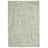 Ocean's Edge Braided Indoor/ Outdoor Area Rug