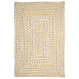 Ocean's Edge Braided Indoor/ Outdoor Area Rug