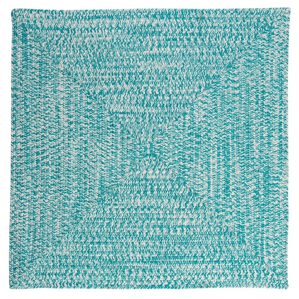 Ocean's Edge Braided Indoor/ Outdoor Area Rug