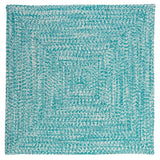 Ocean's Edge Braided Indoor/ Outdoor Area Rug