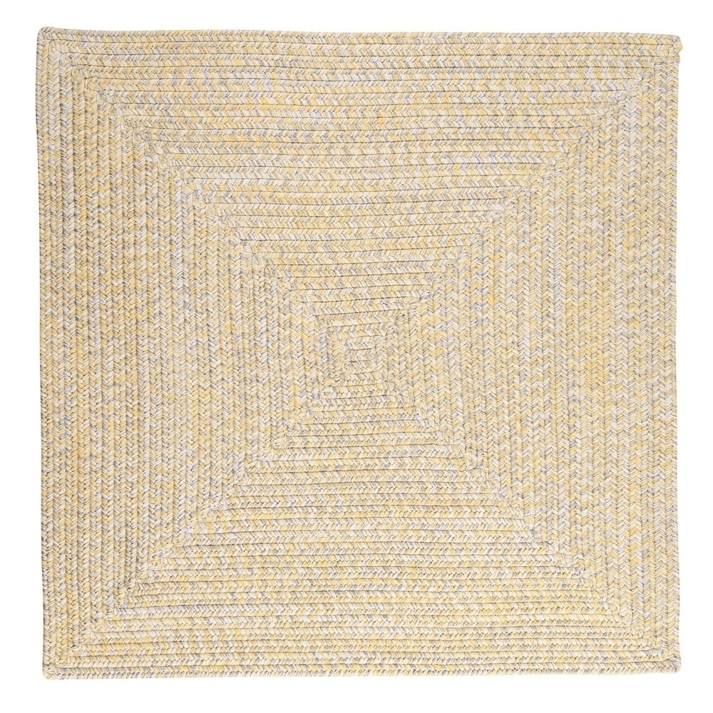 Ocean's Edge Braided Indoor/ Outdoor Area Rug
