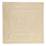 Ocean's Edge Braided Indoor/ Outdoor Area Rug