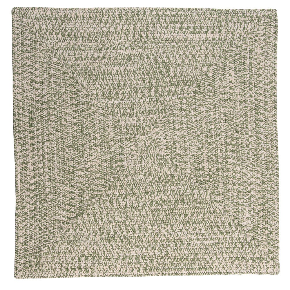 Ocean's Edge Braided Indoor/ Outdoor Area Rug
