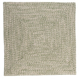 Ocean's Edge Braided Indoor/ Outdoor Area Rug
