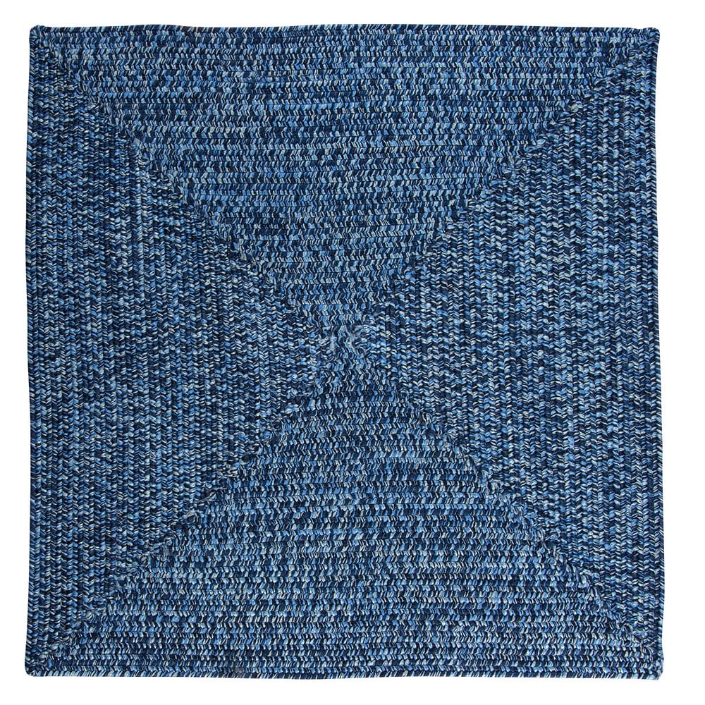 Ocean's Edge Braided Indoor/ Outdoor Area Rug