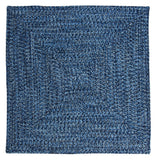Ocean's Edge Braided Indoor/ Outdoor Area Rug