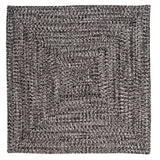 Ocean's Edge Braided Indoor/ Outdoor Area Rug