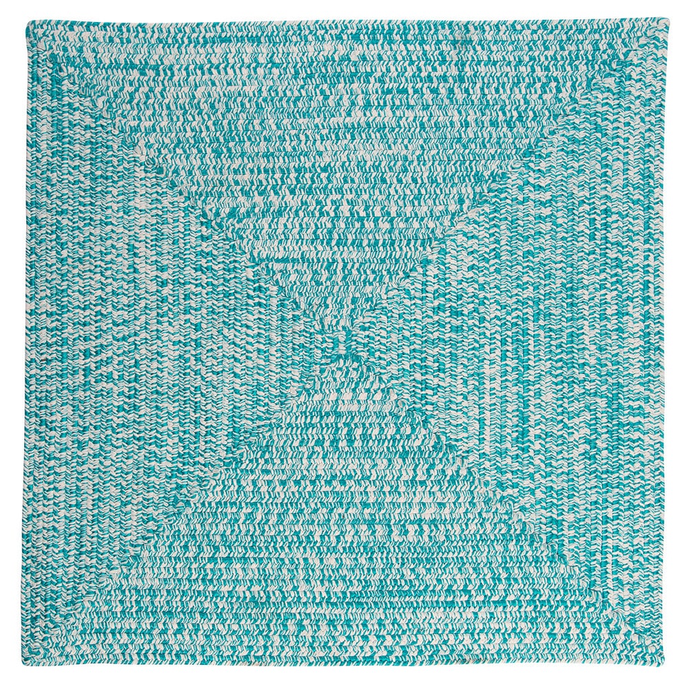 Ocean's Edge Braided Indoor/ Outdoor Area Rug