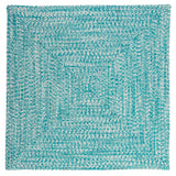 Ocean's Edge Braided Indoor/ Outdoor Area Rug