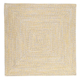Ocean's Edge Braided Indoor/ Outdoor Area Rug
