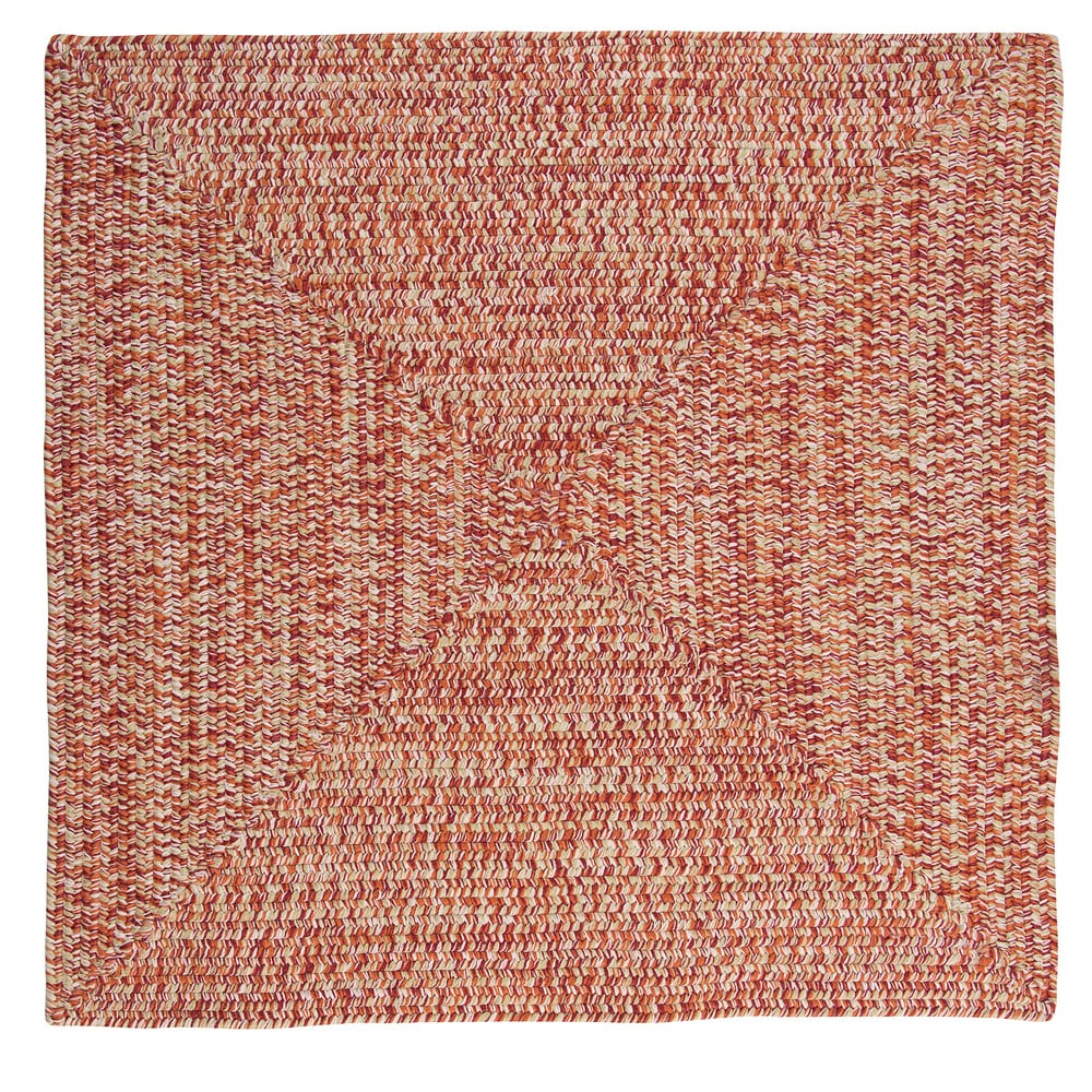 Ocean's Edge Braided Indoor/ Outdoor Area Rug