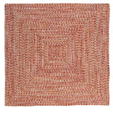 Ocean's Edge Braided Indoor/ Outdoor Area Rug