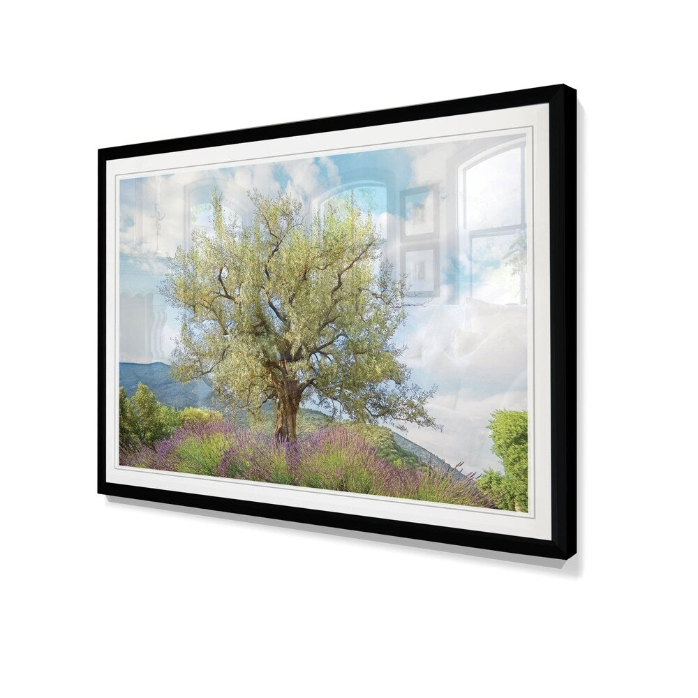 Olive Tree & Lavender-Framed Giclee Print
