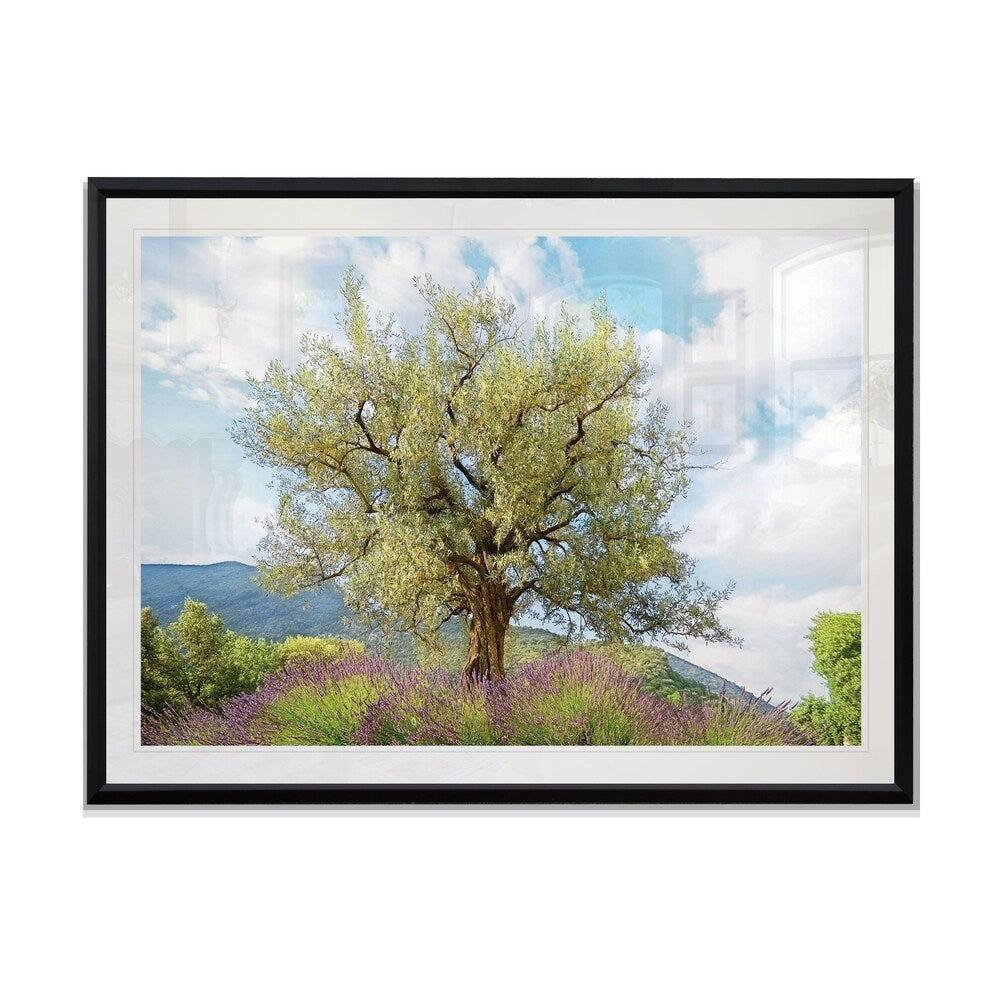 Olive Tree & Lavender-Framed Giclee Print