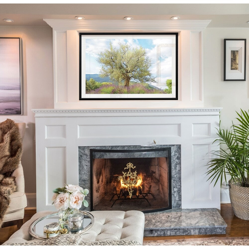 Olive Tree & Lavender-Framed Giclee Print