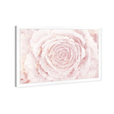 Oliver Gal 'Blush Winter Flower Pink' Floral White Contemporary Framed Wall Art Print