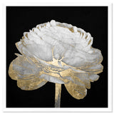 Oliver Gal 'Gold and Light Floral II' Floral Black/ Gold Framed Wall Art Print