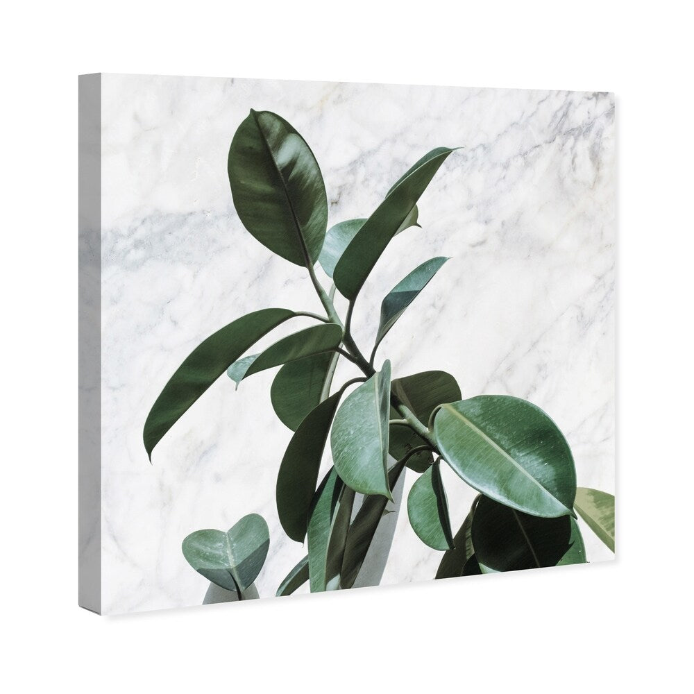 Oliver Gal 'Plant Life Marble' Floral and Botanical Wall Art Canvas Print - Green, White