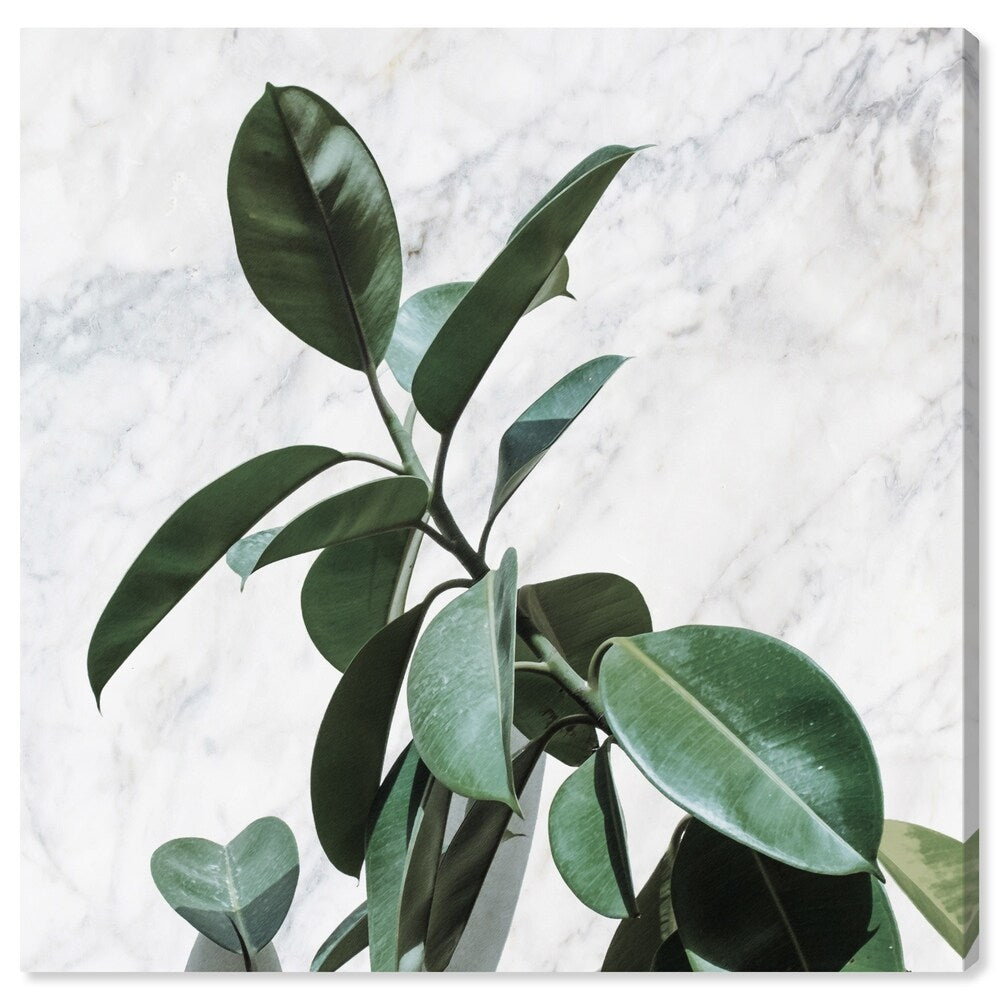 Oliver Gal 'Plant Life Marble' Floral and Botanical Wall Art Canvas Print - Green, White
